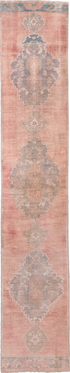 Antique Anatol Runner Rug (2' x 15')